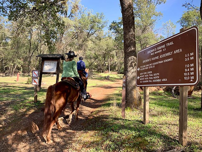 Equestrians on Browns Ravine Trail
